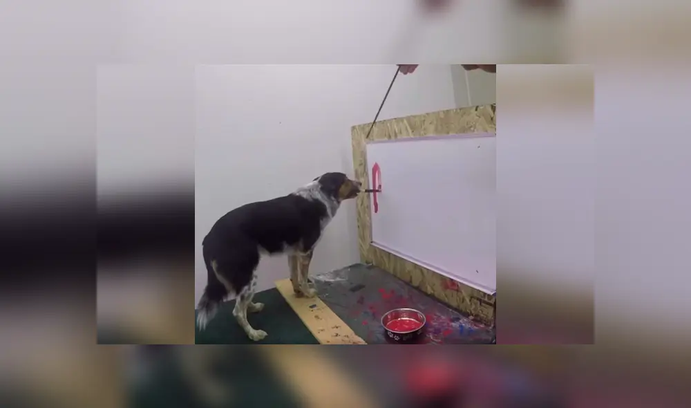 Desliza las imágenes hacia la izquierda para conocer la increíble habilidad de un perro que aprendió a dibujar. Foto: Captura. Desliza las imágenes hacia la izquierda para conocer la increíble habilidad de un perro que aprendió a dibujar. Foto: Captura.
