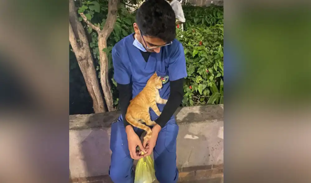 Desliza hacia la izquierda para conocer más detalles sobre este tierno gatito que se acercó a darle ánimos a un joven enfermero. Foto: The Dodo