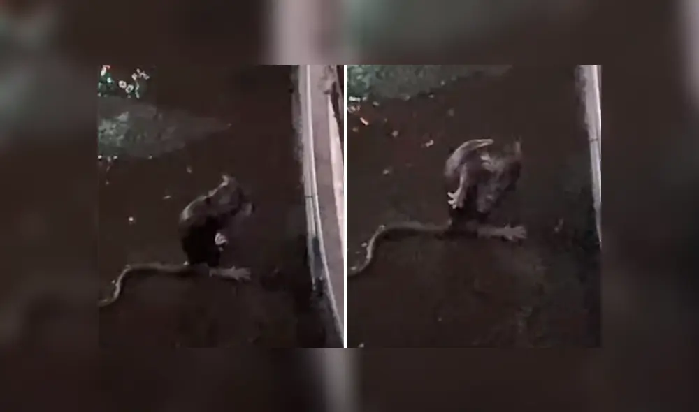 Desliza hacia la izquierda para ver más del video viral. Fotocaptura: YouTube Desliza hacia la izquierda para ver más del video viral. Fotocaptura: YouTube