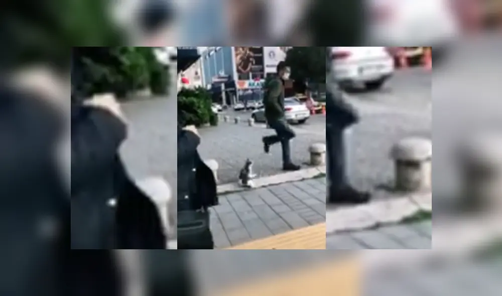 Desliza hacia la izquierda para ver más del video viral Desliza hacia la izquierda para ver más del video viral