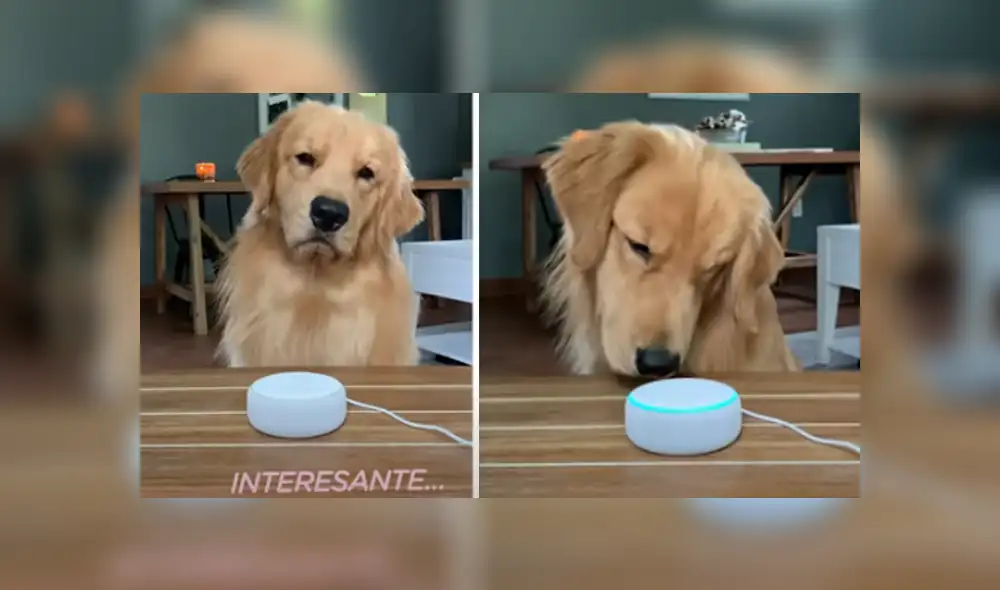 Desliza hacia la izquierda para ver las imágenes del viral de Facebook. Desliza hacia la izquierda para ver las imágenes del viral de Facebook.