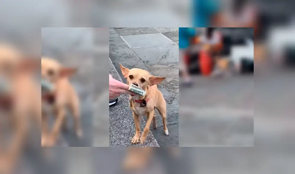 Desliza para ver los detalles del video viral de Facebook. Foto: Captura. Desliza para ver los detalles del video viral de Facebook. Foto: Captura.