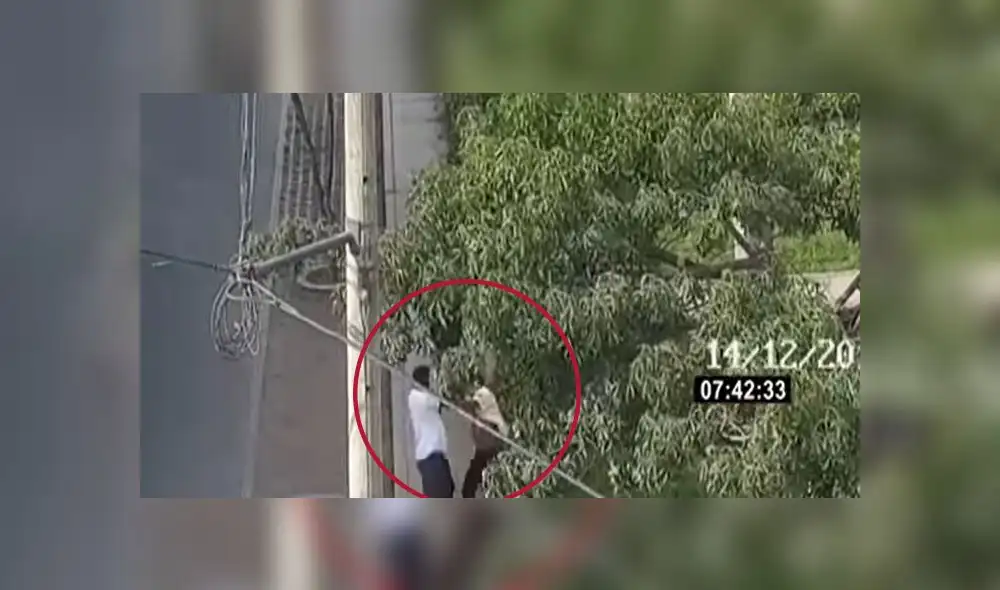 El suceso se produjo el último sábado 14 de diciembre. El suceso se produjo el último sábado 14 de diciembre.