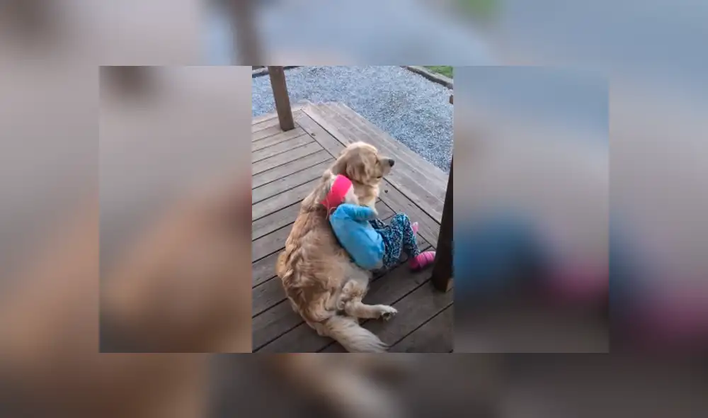 Desliza las imágenes para observar la sentimental escena protagonizada por una niña junto a su perro. Desliza las imágenes para observar la sentimental escena protagonizada por una niña junto a su perro.