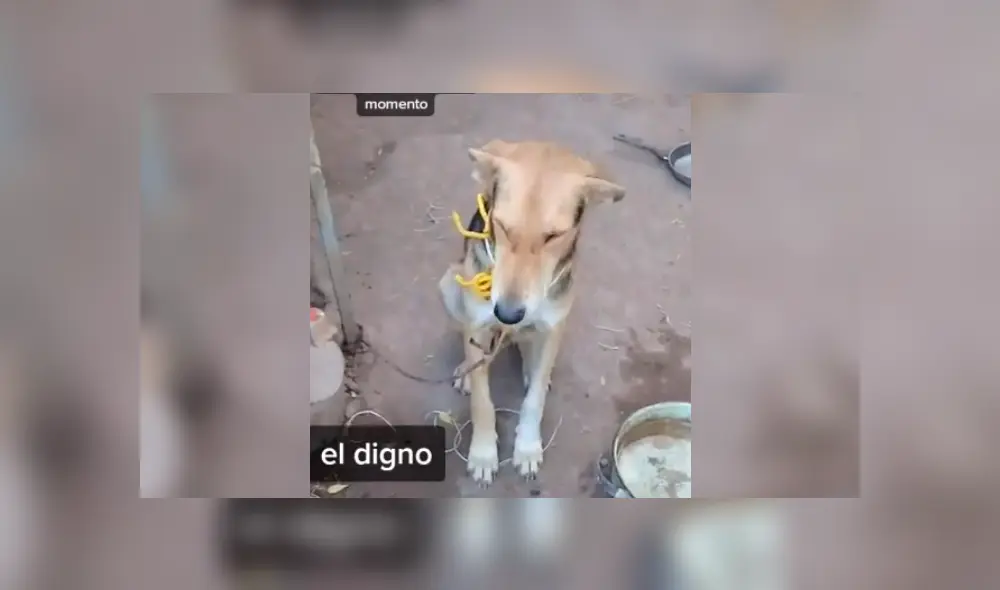 Desliza la imagen compartida en Facebook para ver todas las fotos. Desliza la imagen compartida en Facebook para ver todas las fotos.