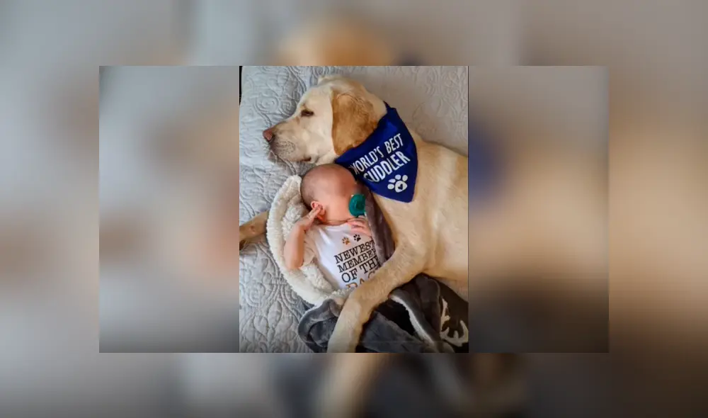 Desliza las fotografías para ver la cautivadora escena que logró ver una madre entre su mascota y su bebé. Foto: Captura/Facebook
