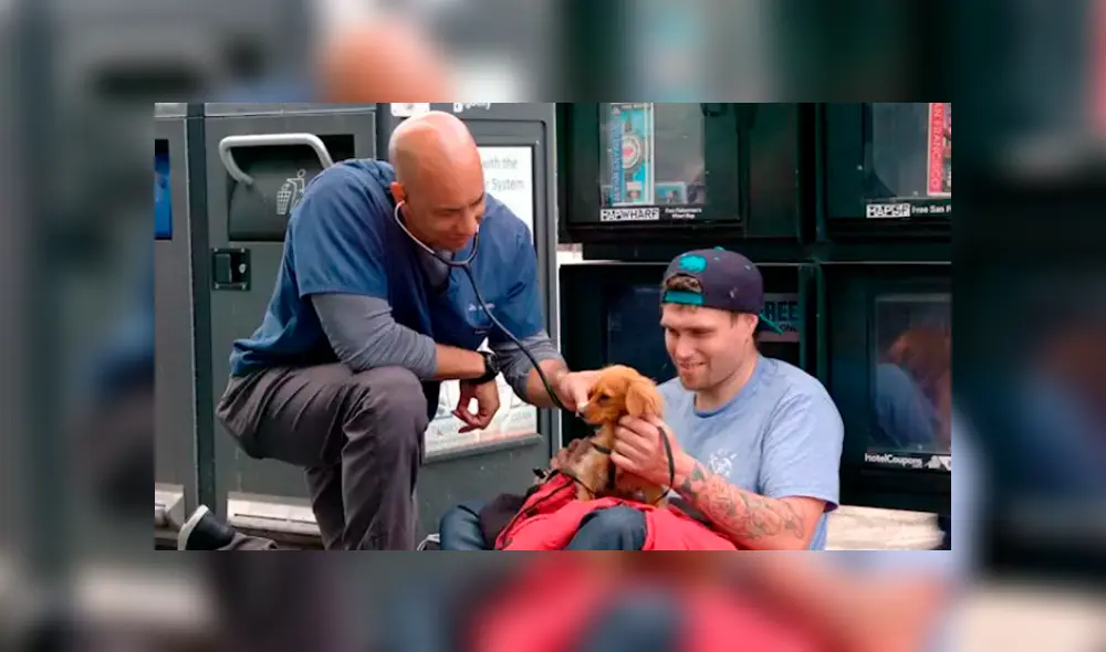 Veterinario atiende desinteresadamente a las mascotas de las personas indigentes