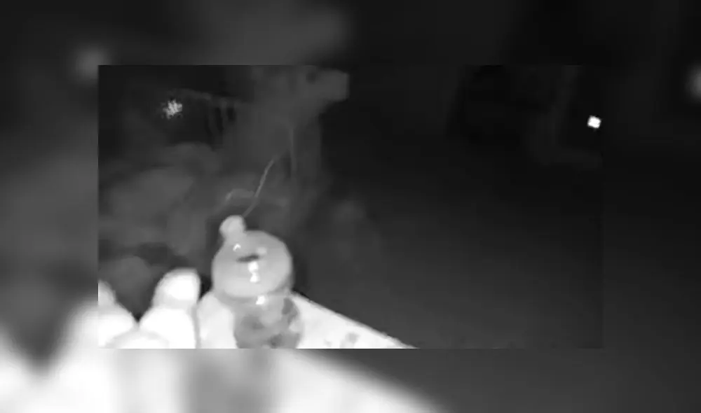 Desliza las fotografías para ver el momento exacto en que un fuerte temblor despertó a un bebé en plena madrugada. Foto: Captura/Facebook