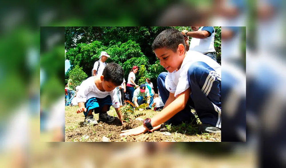 Día Mundial del Medio Ambiente: ¿Cómo concientizar a los niños sobre la importancia de esta fecha?