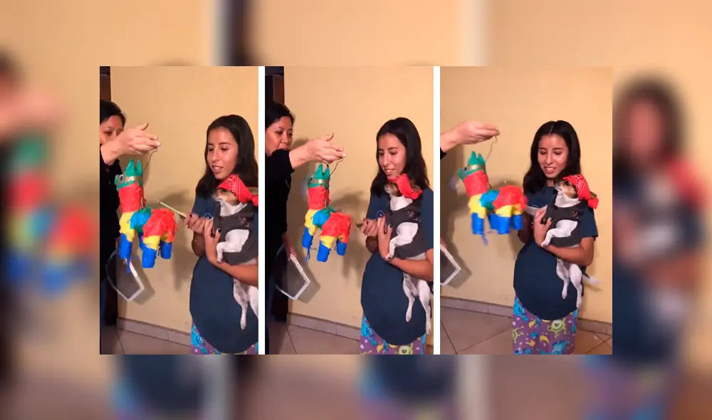 En YouTube, una joven organizó una fiesta en su casa para festejar el día especial de su querida mascota. En YouTube, una joven organizó una fiesta en su casa para festejar el día especial de su querida mascota.