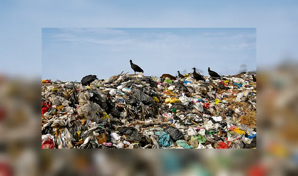 Lamentable. Este es el botadero más grande de Lambayeque. Se necesitan urgentes acciones para evitar problemas. Lamentable. Este es el botadero más grande de Lambayeque. Se necesitan urgentes acciones para evitar problemas.