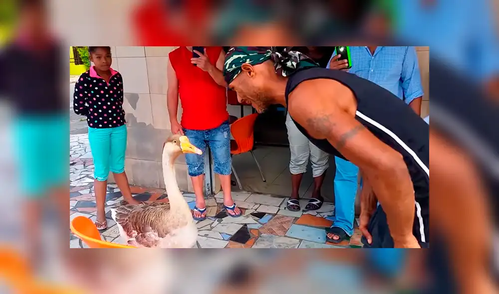 Vía Facebook: venezolano juega con su ganso en la calle y transeúntes reaccionan así [VIDEO]