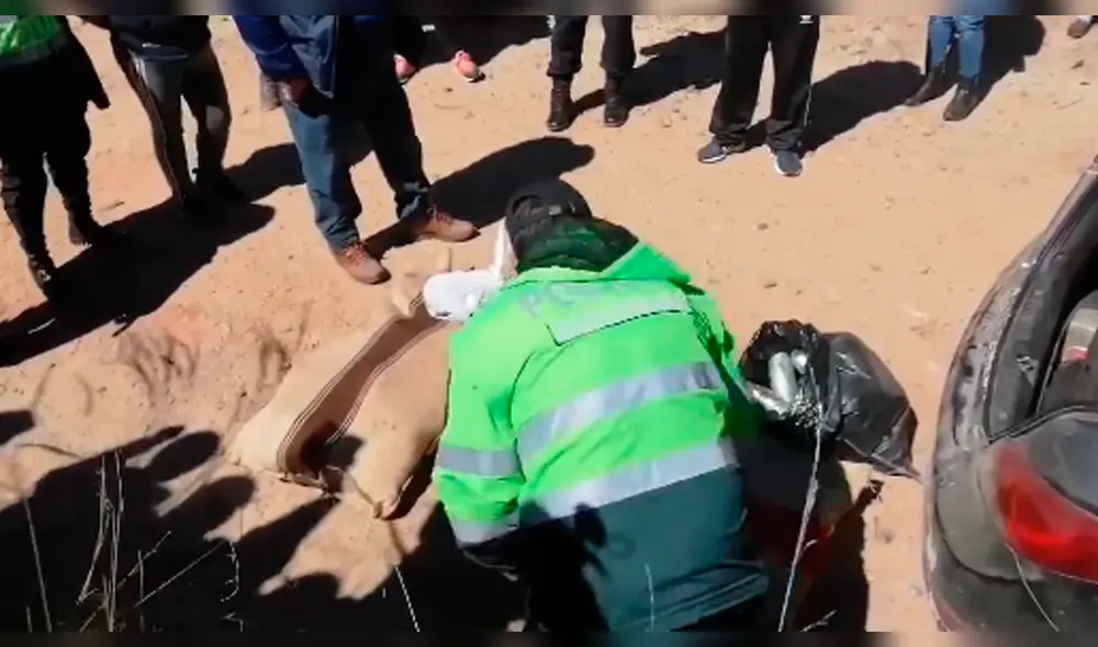 hallan droga en auto de policía hallan droga en auto de policía