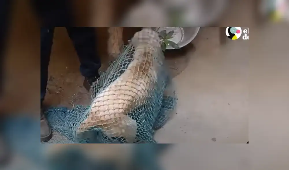 Desliza hacia la izquierda para ver las imágenes del vira del YouTube. Desliza hacia la izquierda para ver las imágenes del vira del YouTube.