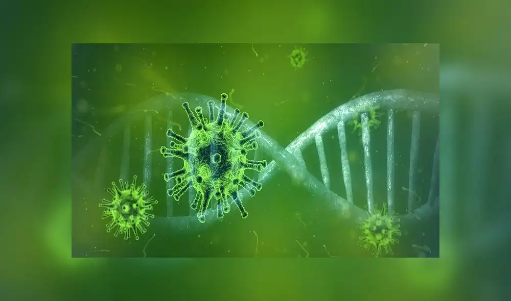 El nuevo coronavirus aún es un enigma para varios expertos. Foto: Pixabay El nuevo coronavirus aún es un enigma para varios expertos. Foto: Pixabay