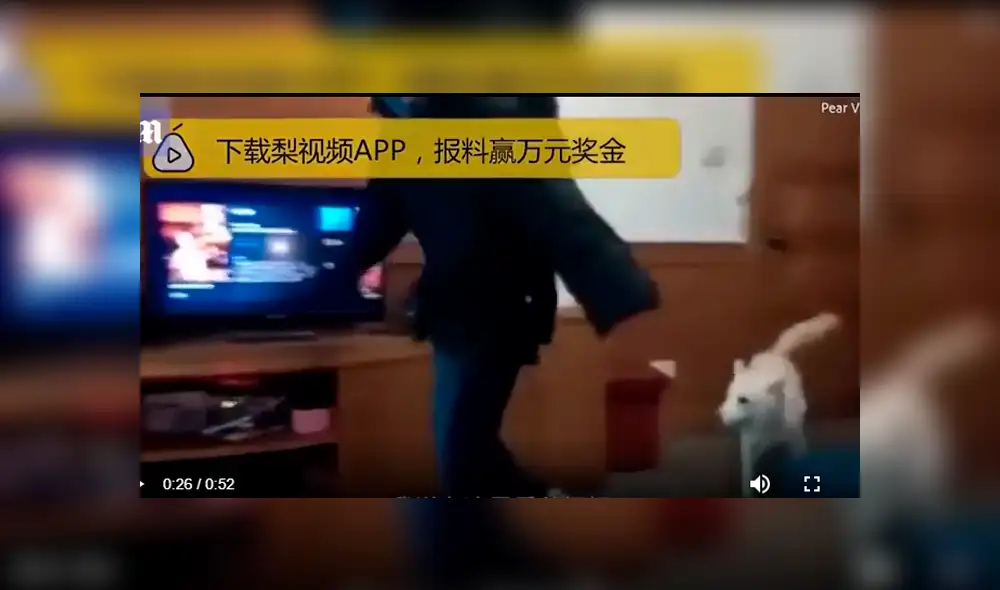 YouTube viral: perro cuidar a hija de su dueño para que no se distraiga y usuarios quedan sorprendidos [VIDEO] 