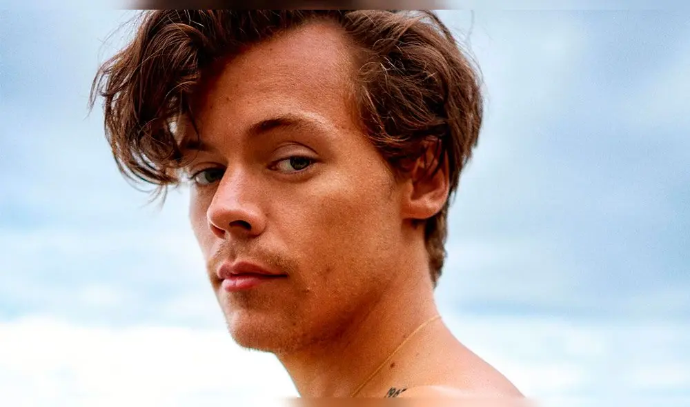 Harry Styles revela que consume hongos alucinógenos para inspirarse [FOTOS]