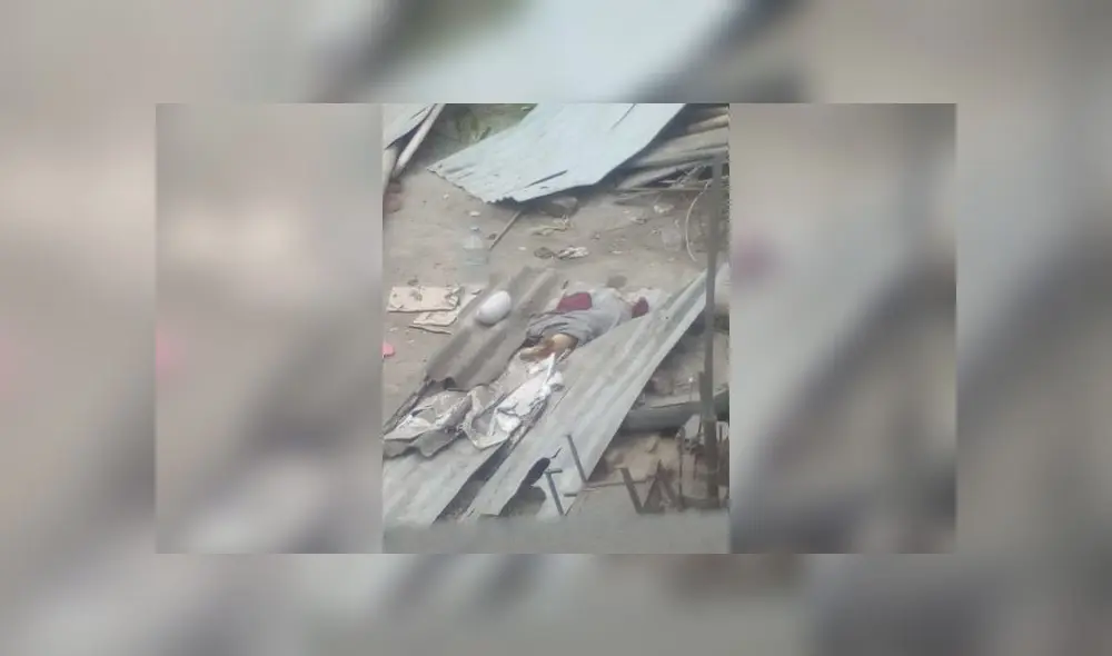 Acusan a sujeto de recoger perros de la calle, torturarlos y dejarlos morir en su azotea [VIDEO]