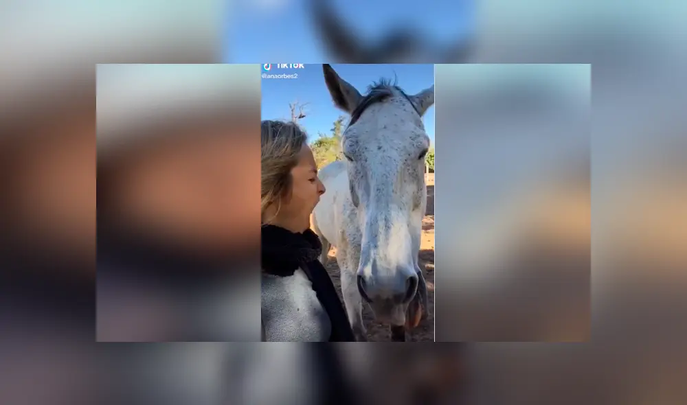 Tiktok viral: intenta tomarse ‘selfie’ con caballo y este tiene efusiva reacción que arruina fotografía