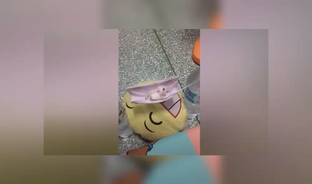 Desliza hacia la izquierda para ver las imágenes del viral de YouTube. Foto: Captura. Desliza hacia la izquierda para ver las imágenes del viral de YouTube. Foto: Captura.