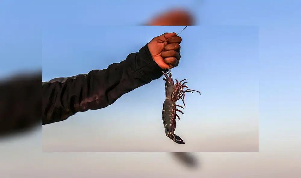 China es el tercer socio comercial más importante de Ecuador. Foto: AFP (referencial) China es el tercer socio comercial más importante de Ecuador. Foto: AFP (referencial)