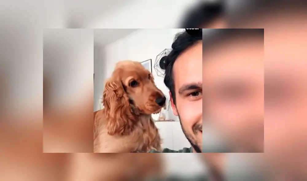 Desliza las imágenes para ver la peculiar reacción que tuvo un perro al descubrir que lo estaban filmando. Foto: Woof Woof Desliza las imágenes para ver la peculiar reacción que tuvo un perro al descubrir que lo estaban filmando. Foto: Woof Woof