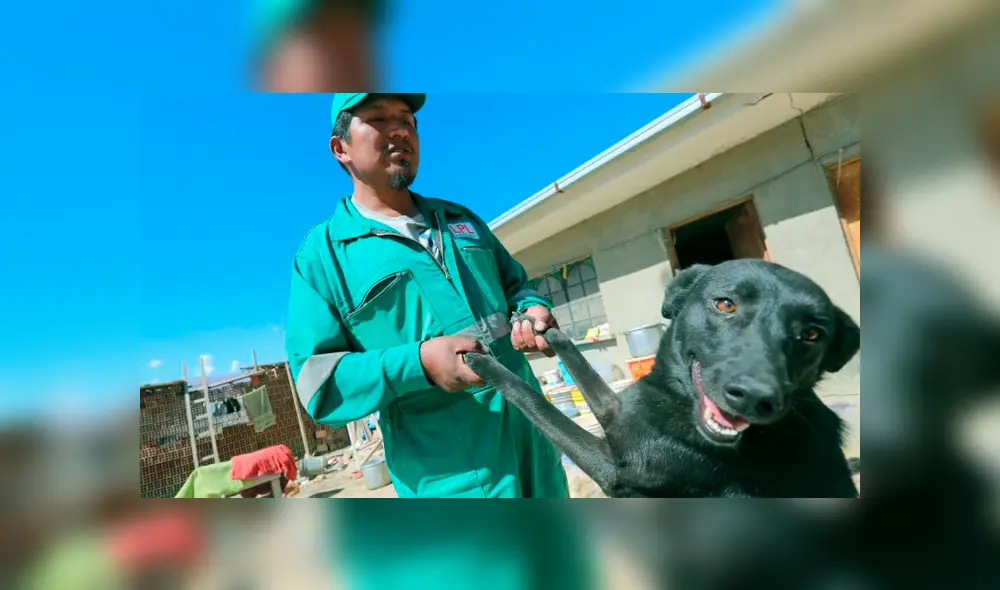 En su humilde casa del barrio de Alpacoma, Miguel Ángel da asilo a sus 18 perros y cinco gatos. (Foto: Página Siete)