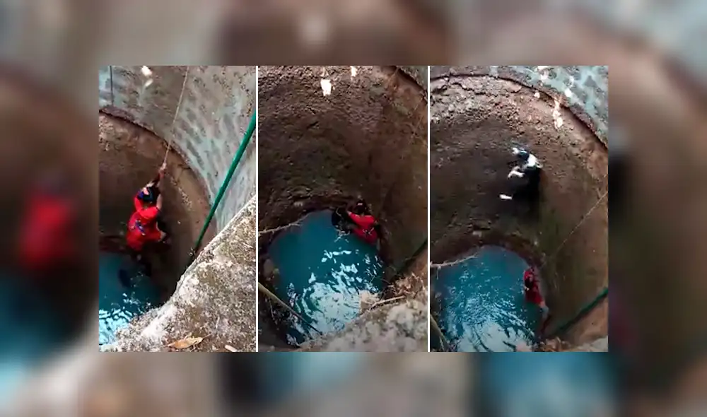 Desliza para ver los momentos más impactantes del video que se hizo viral en Facebook.