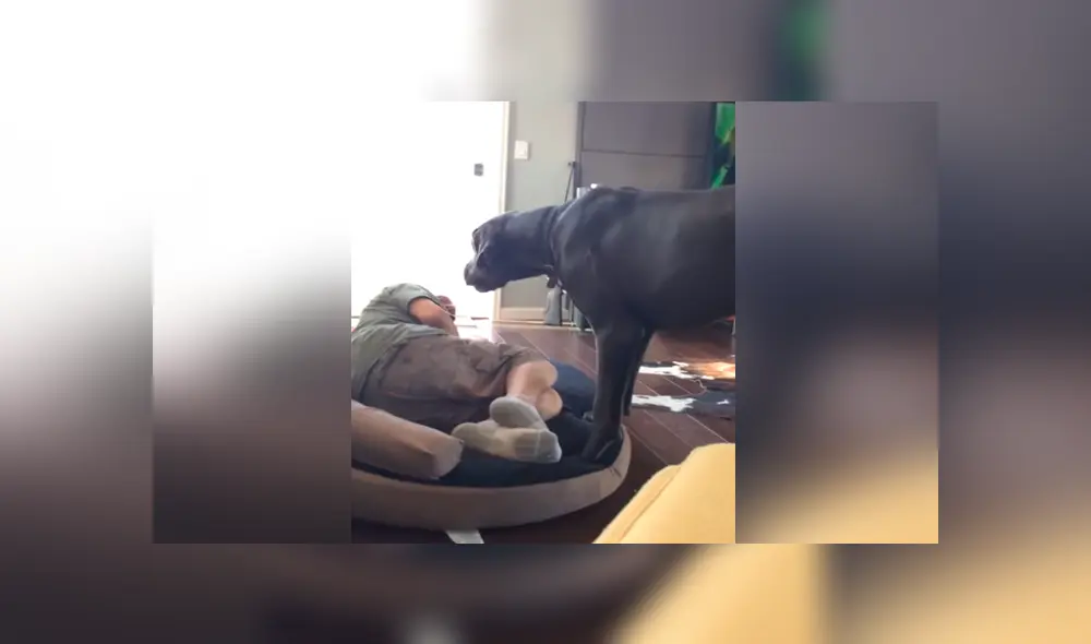 Desliza para ver los momentos más divertidos del video viral de Facebook. Desliza para ver los momentos más divertidos del video viral de Facebook.