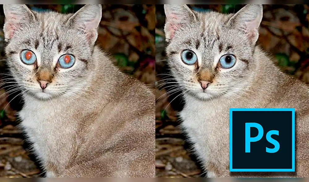Photoshop: Aprende a eliminar los ojos rojos en una foto
