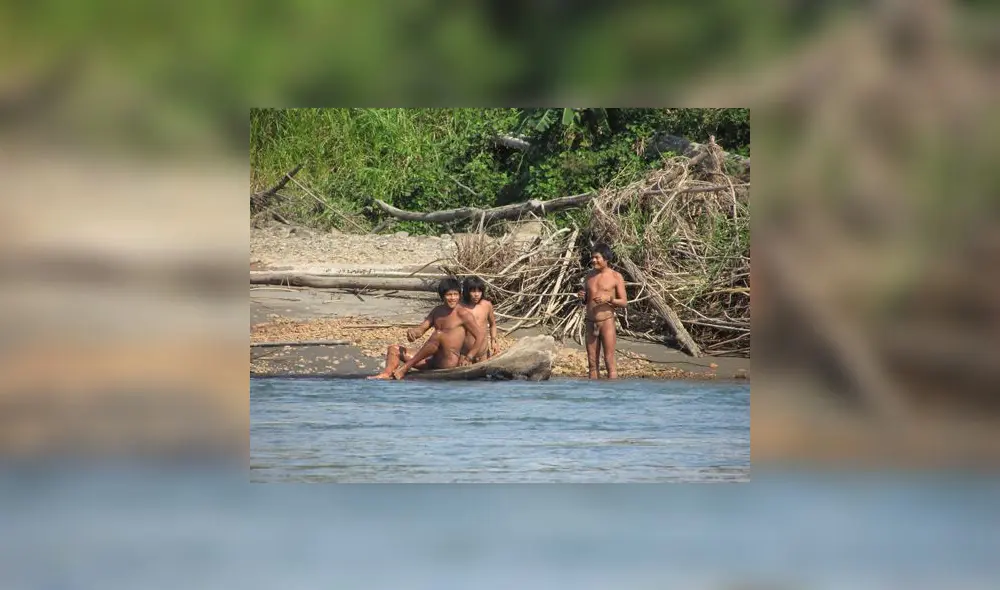 Denuncian que Perú no protege a los pueblos indígenas en aislamiento Denuncian que Perú no protege a los pueblos indígenas en aislamiento