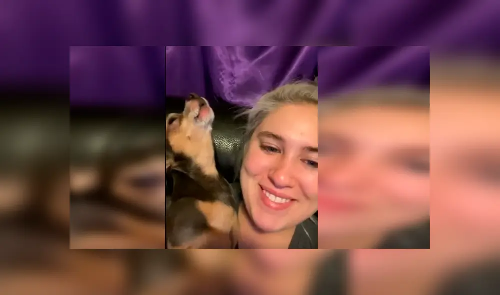 Desliza las imágenes para apreciar el tierno comportamiento de un perro al recibir caricias de su dueña. Desliza las imágenes para apreciar el tierno comportamiento de un perro al recibir caricias de su dueña.