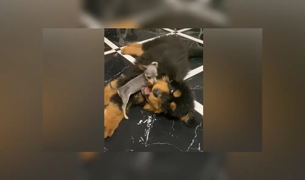 Desliza hacia la izquierda para ver las imágenes del video viral de YouTube. Desliza hacia la izquierda para ver las imágenes del video viral de YouTube.