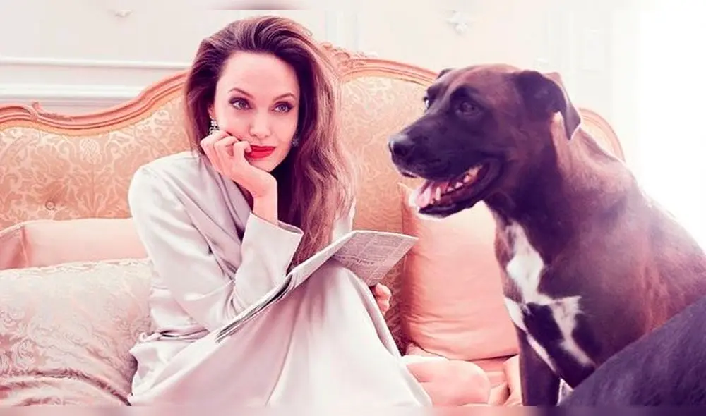 Angelina Jolie: Filtran imagen sin photoshop y maquillaje