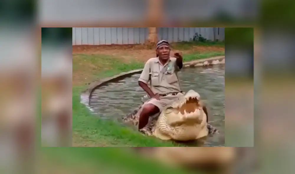 YouTube viral: Hombre se sube encima de cocodrilo para alimentarlo y ocurre algo impensado [VIDEO] 