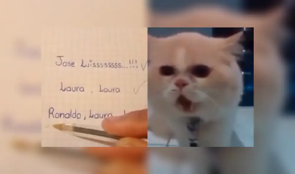 Facebook viral: graban a gato diciendo el nombre de sus dueños y miles se sorprenden [VIDEO]
