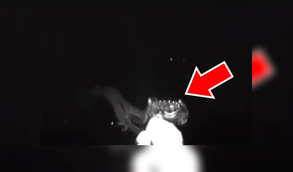 Científicos captan 'misteriosa criatura' en las profundidades del mar. Científicos captan 'misteriosa criatura' en las profundidades del mar.