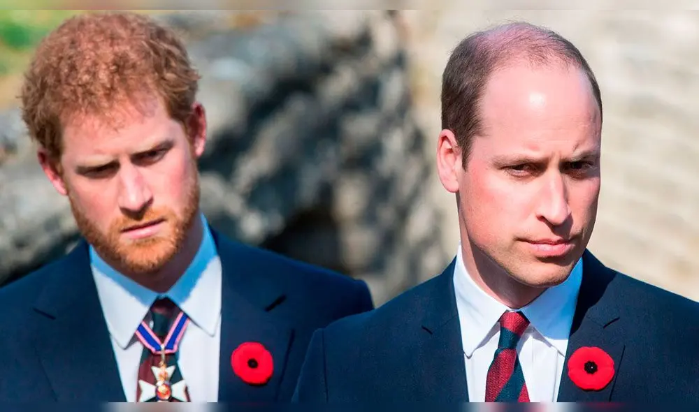 Príncipe Harry, Príncipe William