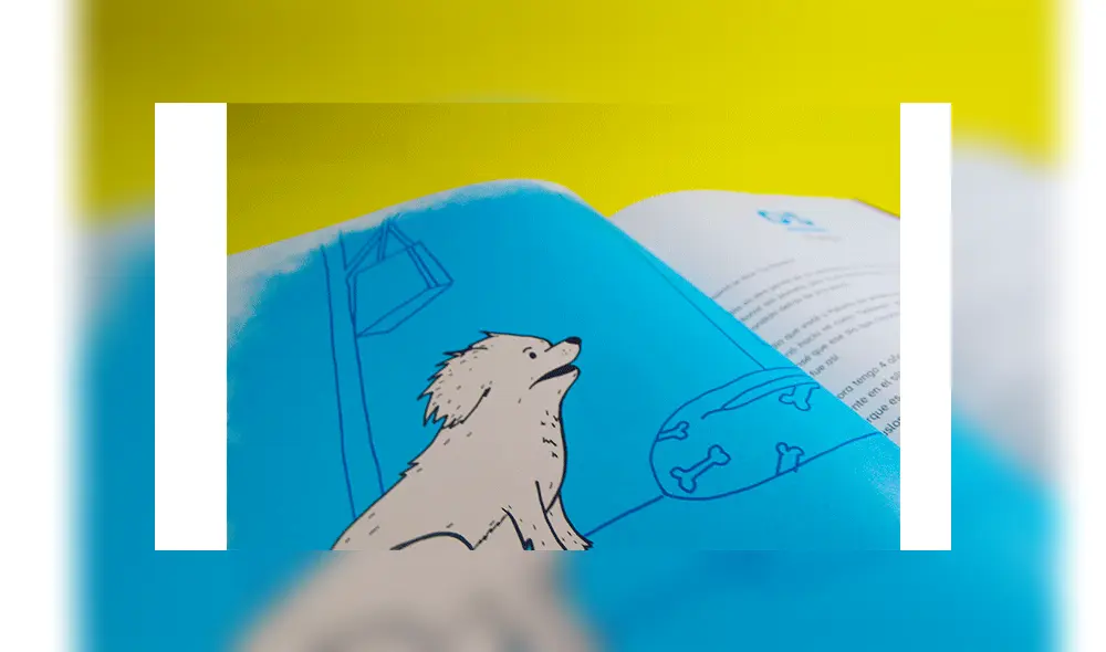 Instagram: joven cumple 4 años de enamorado y le entrega un conmovedor regalo a su novia [FOTOS]