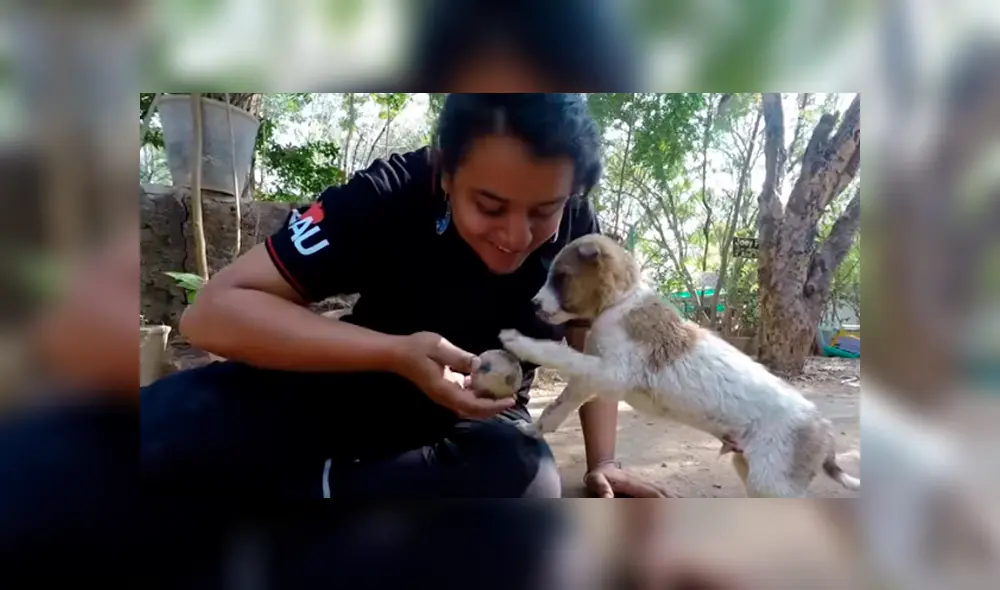 Desliza hacia la izquierda para ver el conmovedor hallazgo del perro que se hizo viral en YouTube. Desliza hacia la izquierda para ver el conmovedor hallazgo del perro que se hizo viral en YouTube.