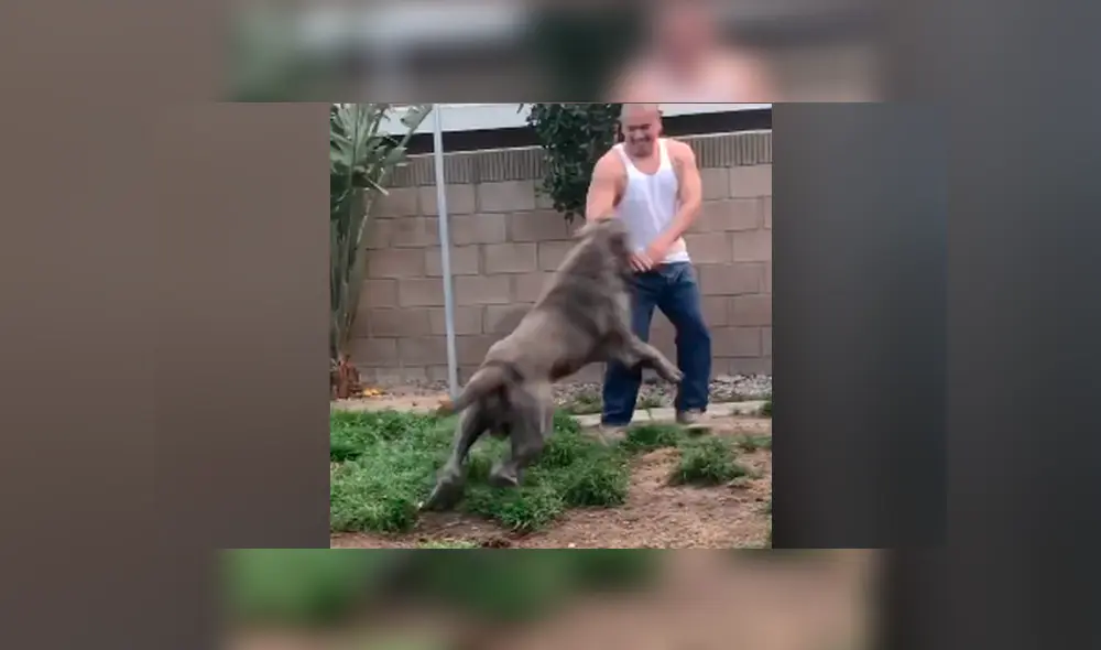 Desliza para ver todas las imágenes compartidas en Facebook. Foto: captura