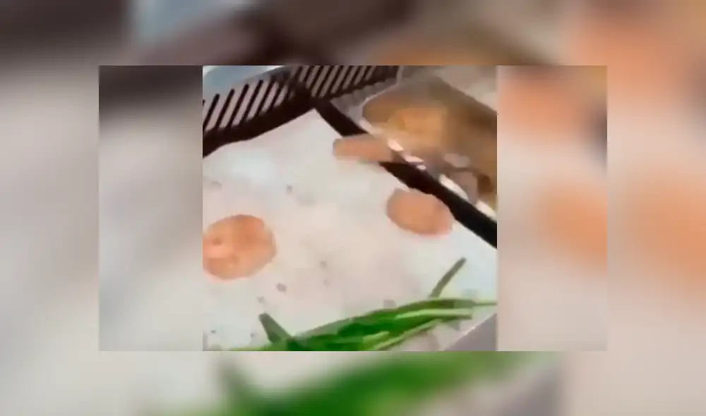 Facebook viral: cangrejo intenta escapar de cocinero y sin querer cae a la olla hirviendo Facebook viral: cangrejo intenta escapar de cocinero y sin querer cae a la olla hirviendo