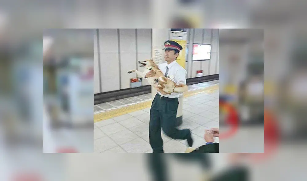 En Facebook, un perro fue capturado por la policía para evitar que cometa travesuras dentro de una estación de tren. En Facebook, un perro fue capturado por la policía para evitar que cometa travesuras dentro de una estación de tren.