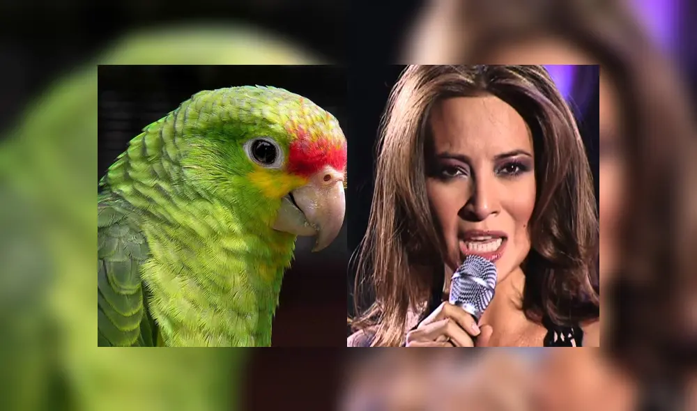 Desliza para ver los detalles del video viral publicado en YouTube. Foto: Captura. Desliza para ver los detalles del video viral publicado en YouTube. Foto: Captura.