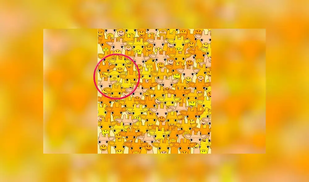 Desliza las imágenes para ver el lugar en el que se ocultó el travieso 'Baby Yoda' en este reto visual. Foto: Facebook