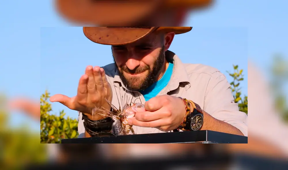 Un video viral muestra al famoso 'Coyote' Peterson siendo picado por un venenoso pez león. Un video viral muestra al famoso 'Coyote' Peterson siendo picado por un venenoso pez león.
