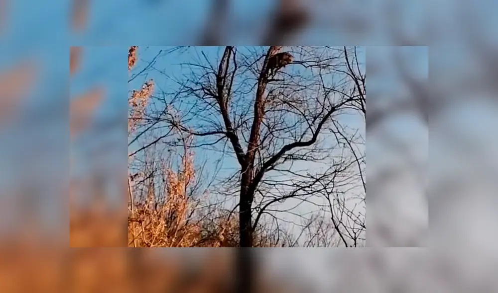 Desliza la imagen para ver más del video viral