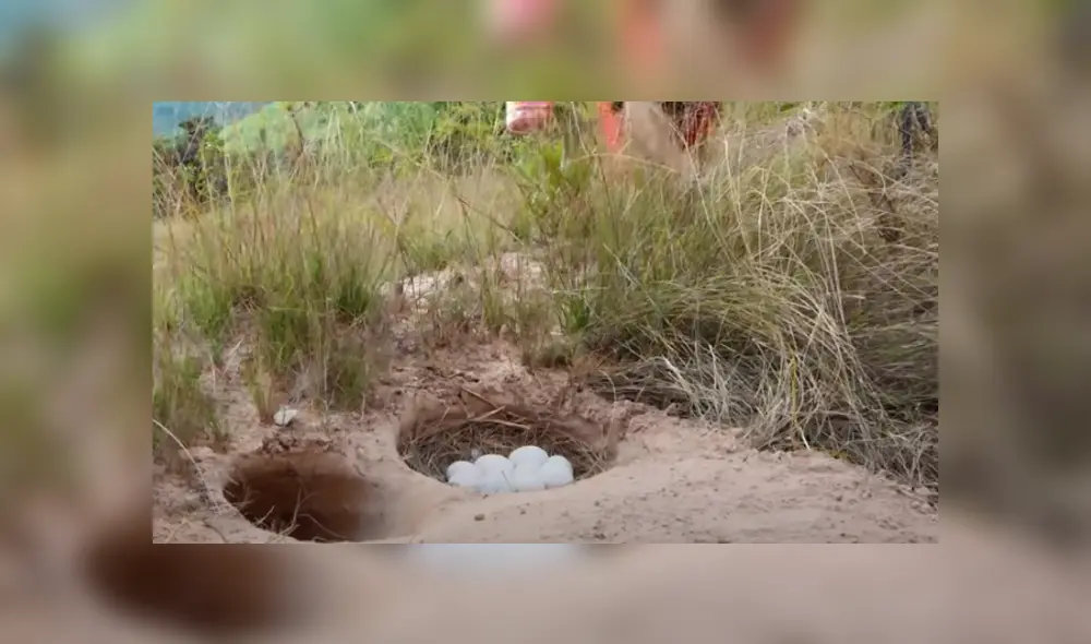 Desliza hacia la izquierda para ver las imágenes del viral de YouTube.