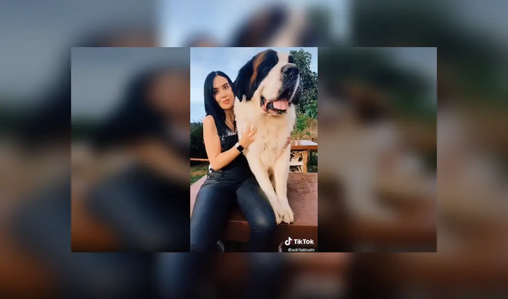 Desliza para ver los detalles del video viral publicado en YouTube. Foto: Captura.