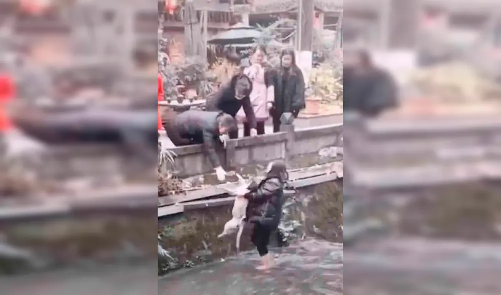 Desliza hacia la izquierda para ver las imágenes del rescate del perro de las aguas heladas de un río en China. Foto: captura de YouTube